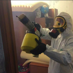 Уничтожение клопов в квартире. Октябрьский